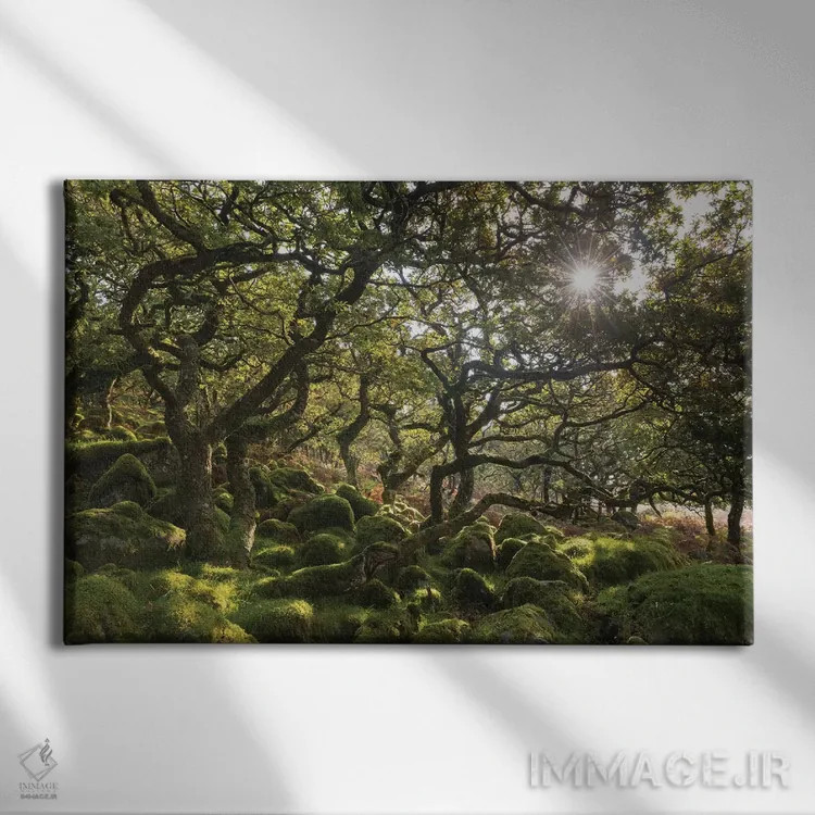 تابلو جنگلچه آفتابگیر اثر آدام برتون - نمای روبهرو روی دیوار