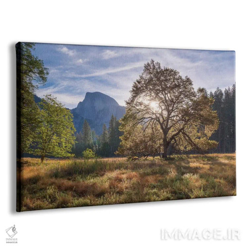 تابلو دشت کوچ (Cook's Meadow) اثر آدام برتون - نمای پرسپکتیو محصول