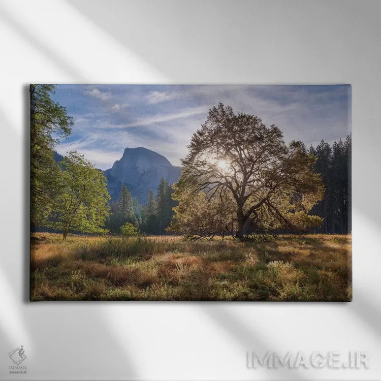 تابلو دشت کوچ (Cook's Meadow) اثر آدام برتون - نمای روبهرو روی دیوار