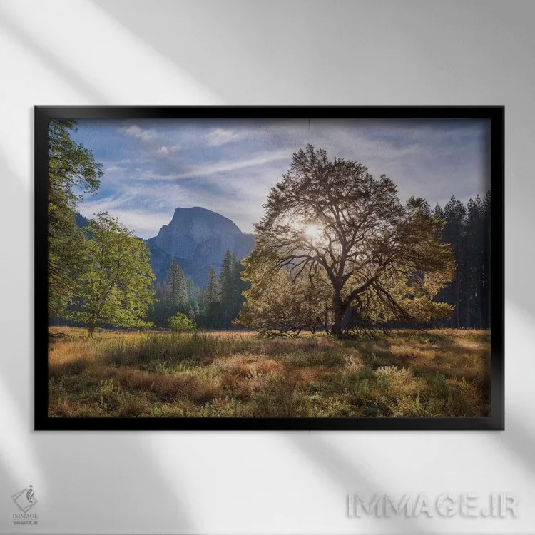 تابلو دشت کوچ (Cook's Meadow) اثر آدام برتون - نمای قابدار مشکی