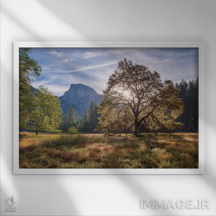 تابلو دشت کوچ (Cook's Meadow) اثر آدام برتون - نمای قابدار سفید