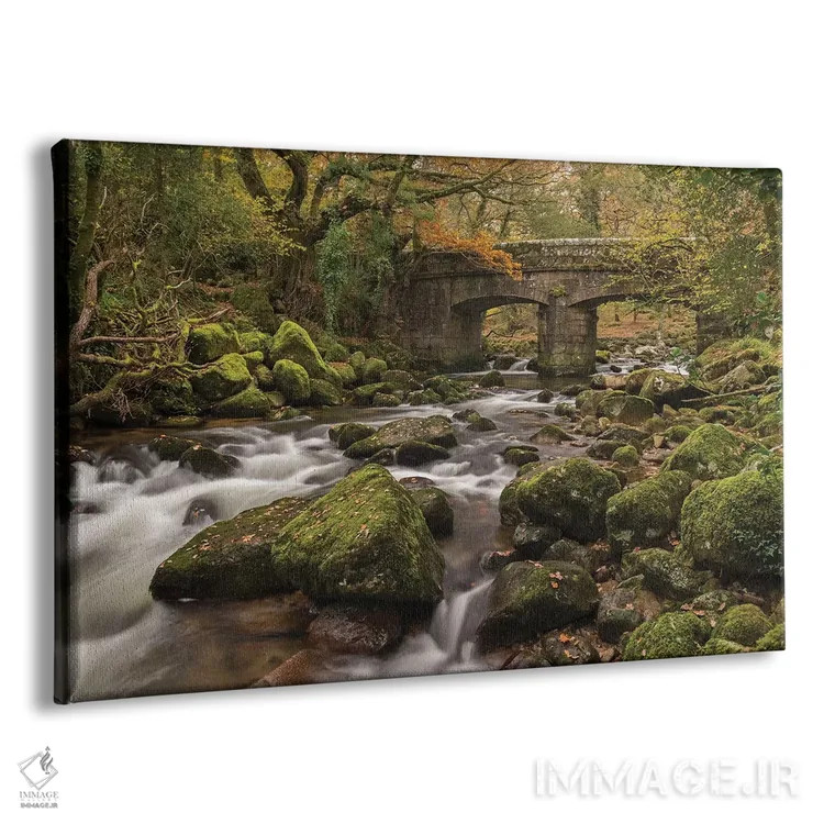 تابلو پل جنگلی اثر آدام برتون - نمای پرسپکتیو محصول