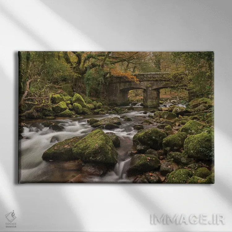 تابلو پل جنگلی اثر آدام برتون - نمای روبهرو روی دیوار