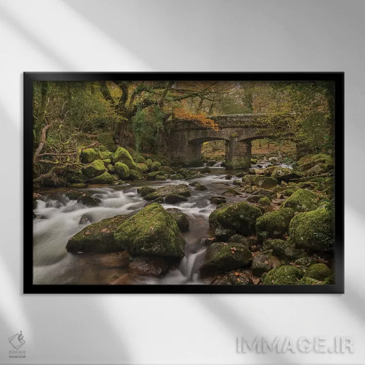 تابلو پل جنگلی اثر آدام برتون - نمای قابدار مشکی