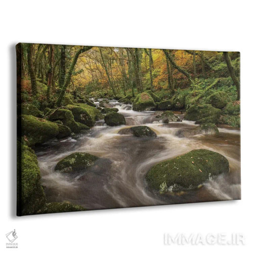 تابلو رودخانهٔ جنگلی اثر آدام برتون - نمای پرسپکتیو محصول