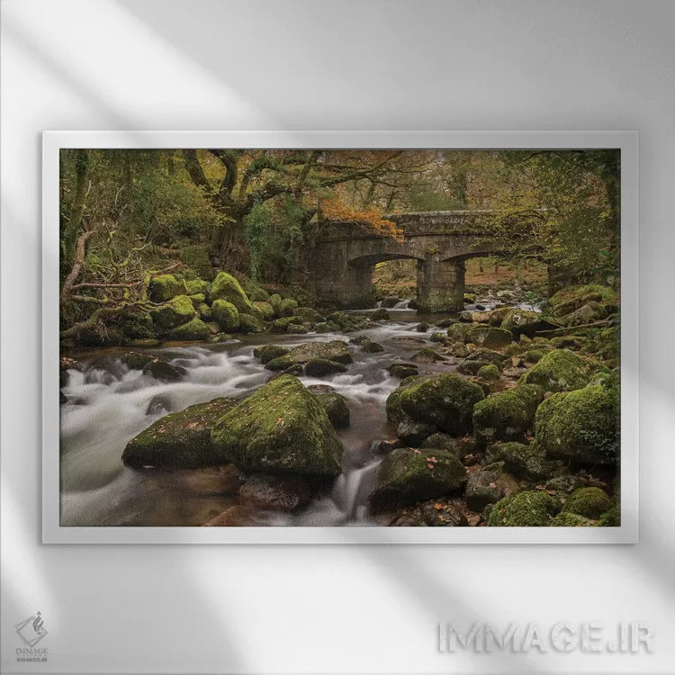 تابلو پل جنگلی اثر آدام برتون - نمای قابدار سفید