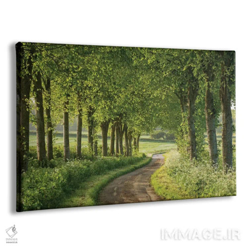 تابلو راههای روستایی اثر آدام برتون - نمای پرسپکتیو محصول