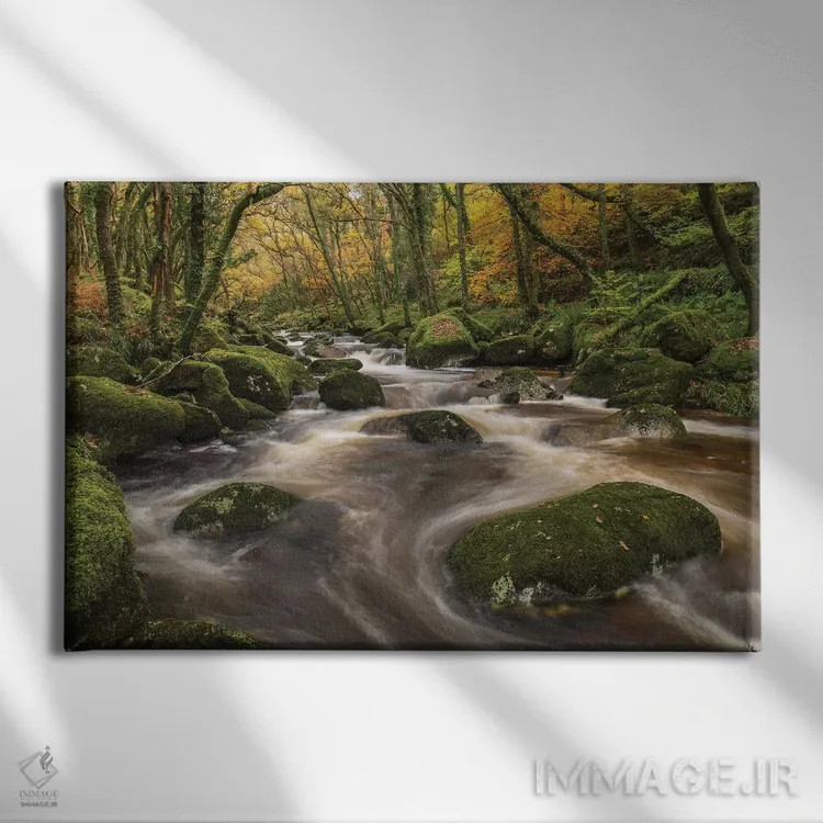 تابلو رودخانهٔ جنگلی اثر آدام برتون - نمای روبهرو روی دیوار