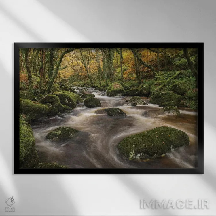 تابلو رودخانهٔ جنگلی اثر آدام برتون - نمای قابدار مشکی