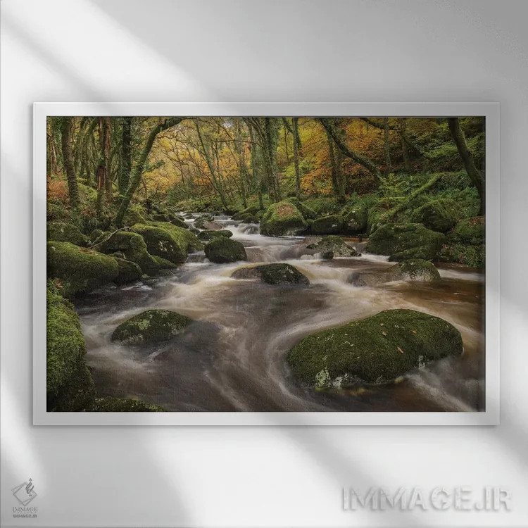 تابلو رودخانهٔ جنگلی اثر آدام برتون - نمای قابدار سفید