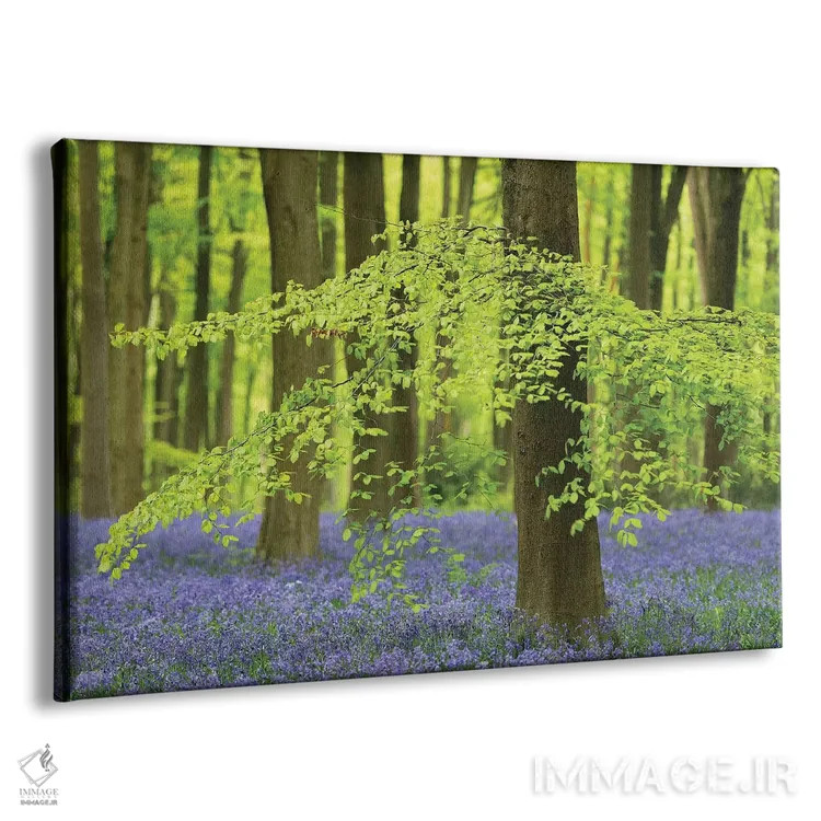 تابلو جنگل گل زنگولهای اثر آدام برتون - نمای پرسپکتیو محصول