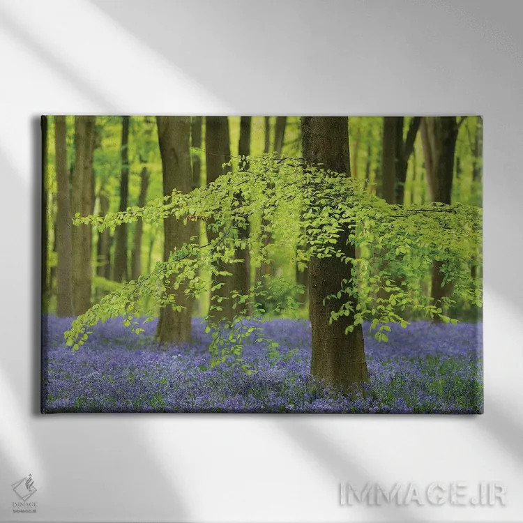 تابلو جنگل گل زنگولهای اثر آدام برتون - نمای روبهرو روی دیوار