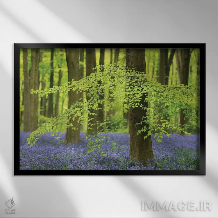 تابلو جنگل گل زنگولهای اثر آدام برتون - نمای قابدار مشکی