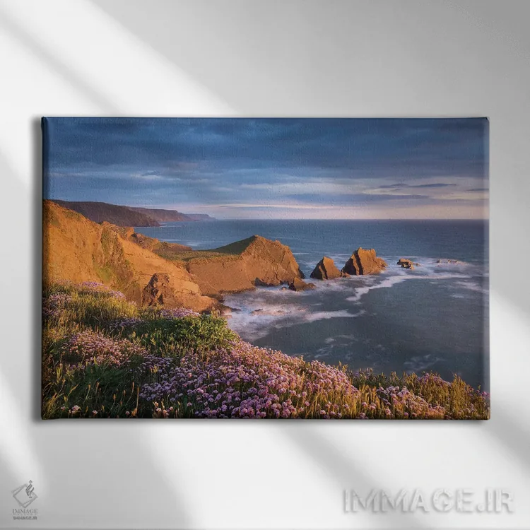 تابلو ساحل هارتلند اثر آدام برتون - نمای روبهرو روی دیوار