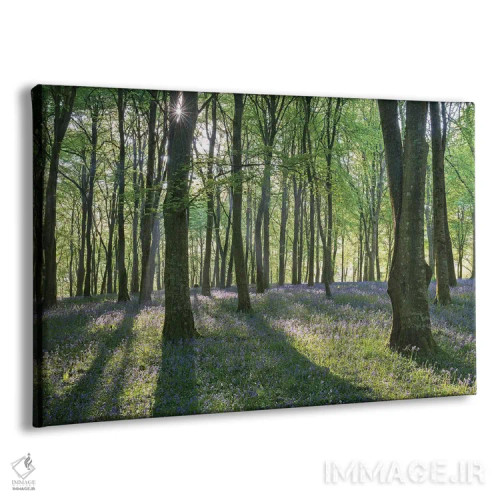 تابلو جنگل گل زنگولهای ۳ اثر آدام برتون - نمای پرسپکتیو محصول