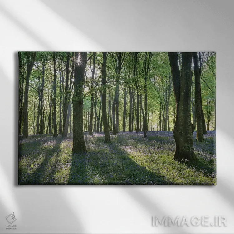 تابلو جنگل گل زنگولهای ۳ اثر آدام برتون - نمای روبهرو روی دیوار