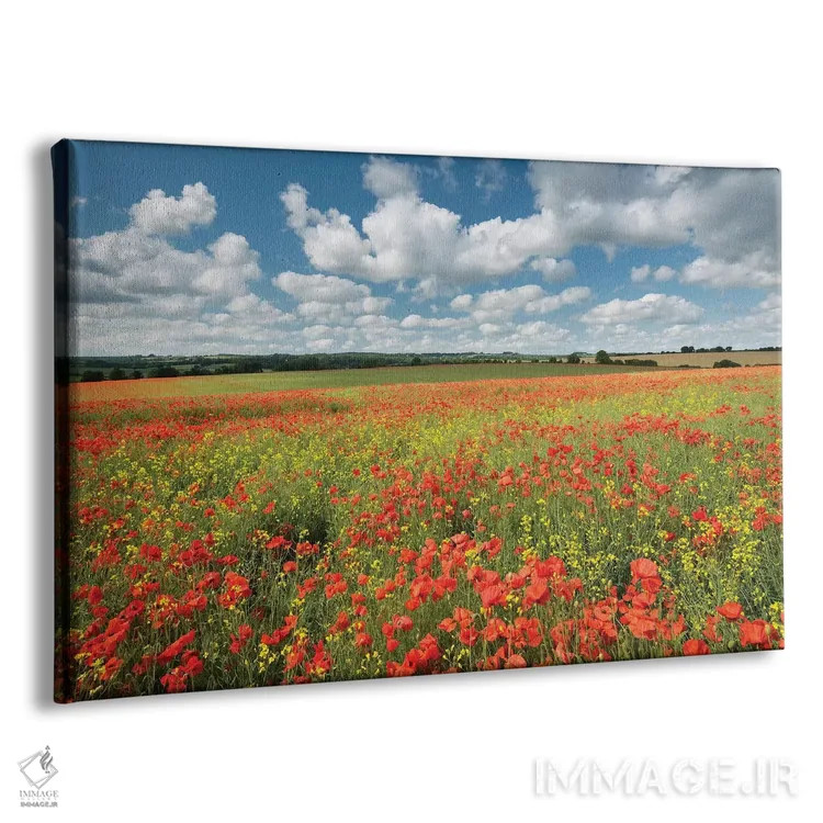 تابلو رنگهای تابستان اثر آدام برتون - نمای پرسپکتیو محصول