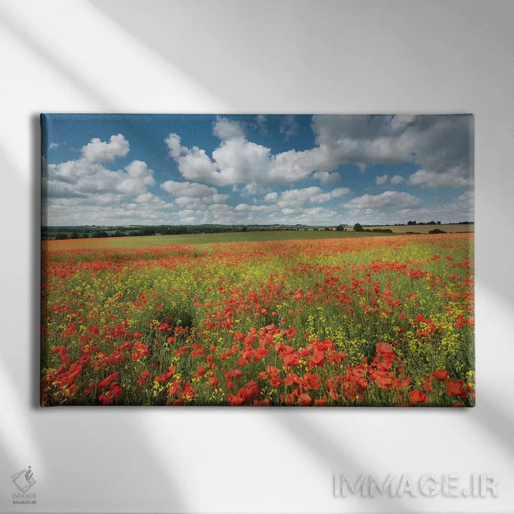 تابلو رنگهای تابستان اثر آدام برتون - نمای روبهرو روی دیوار