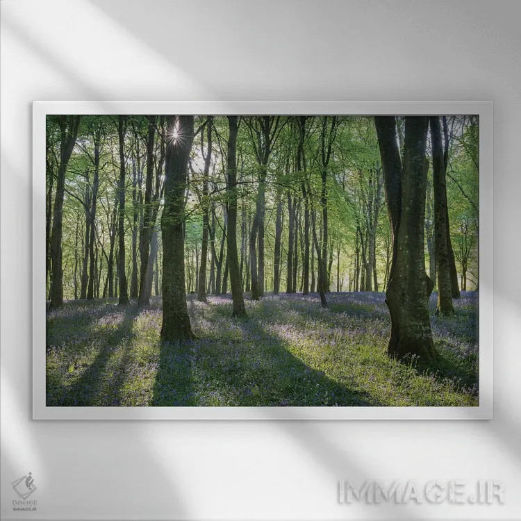 تابلو جنگل گل زنگولهای ۳ اثر آدام برتون - نمای قابدار سفید