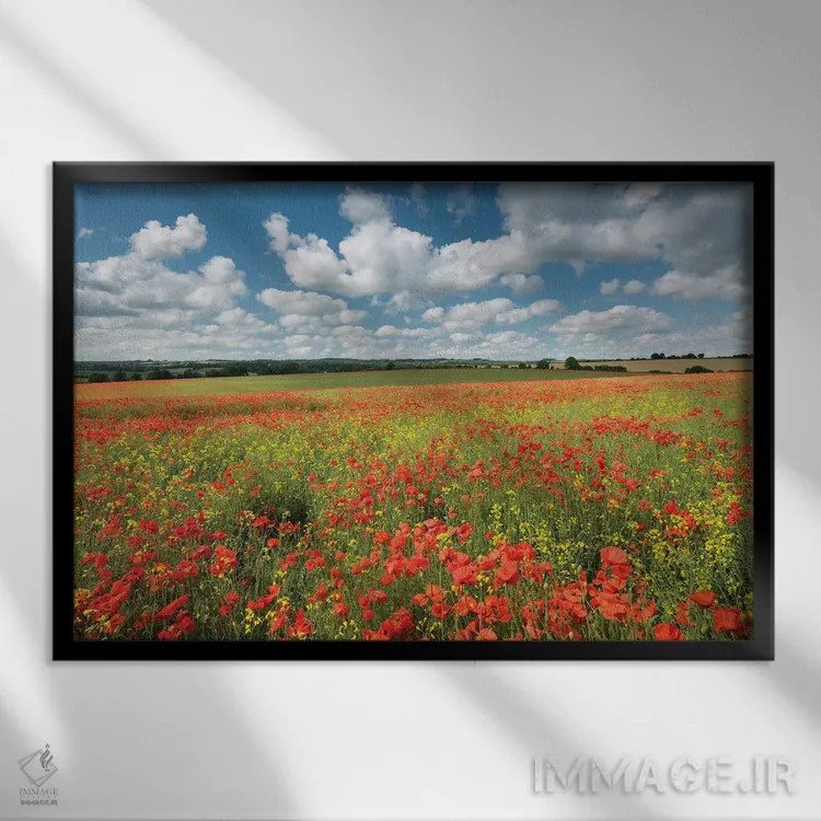 تابلو رنگهای تابستان اثر آدام برتون - نمای قابدار مشکی