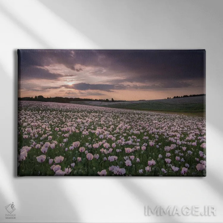 تابلو غروب در مزرعهٔ شقایق اثر آدام برتون - نمای روبهرو روی دیوار