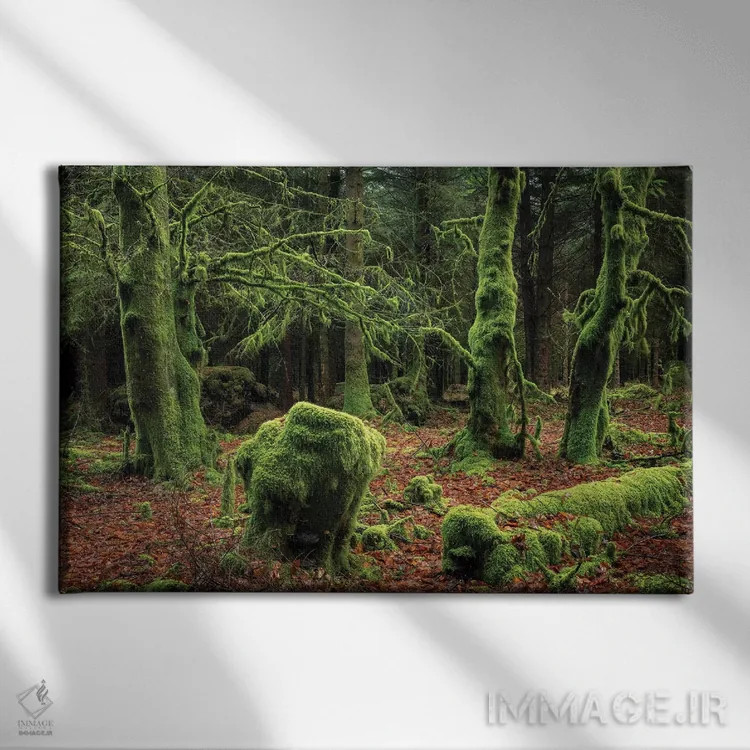 تابلو جنگل رازآلود اثر آدام برتون - نمای روبهرو روی دیوار