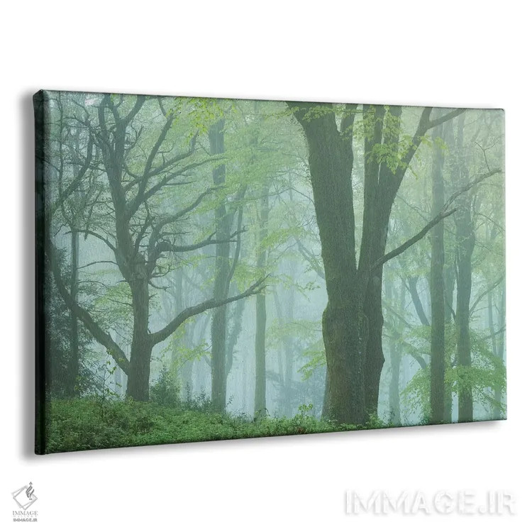 تابلو جنگل افسونشده ۲ اثر آدام برتون - نمای پرسپکتیو محصول