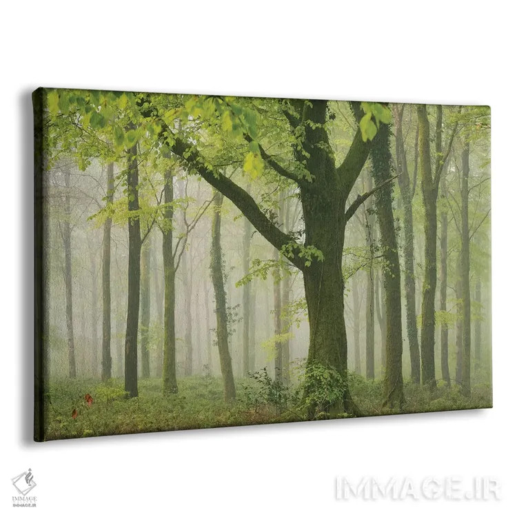 تابلو جنگل بهاری ۲ اثر آدام برتون - نمای پرسپکتیو محصول