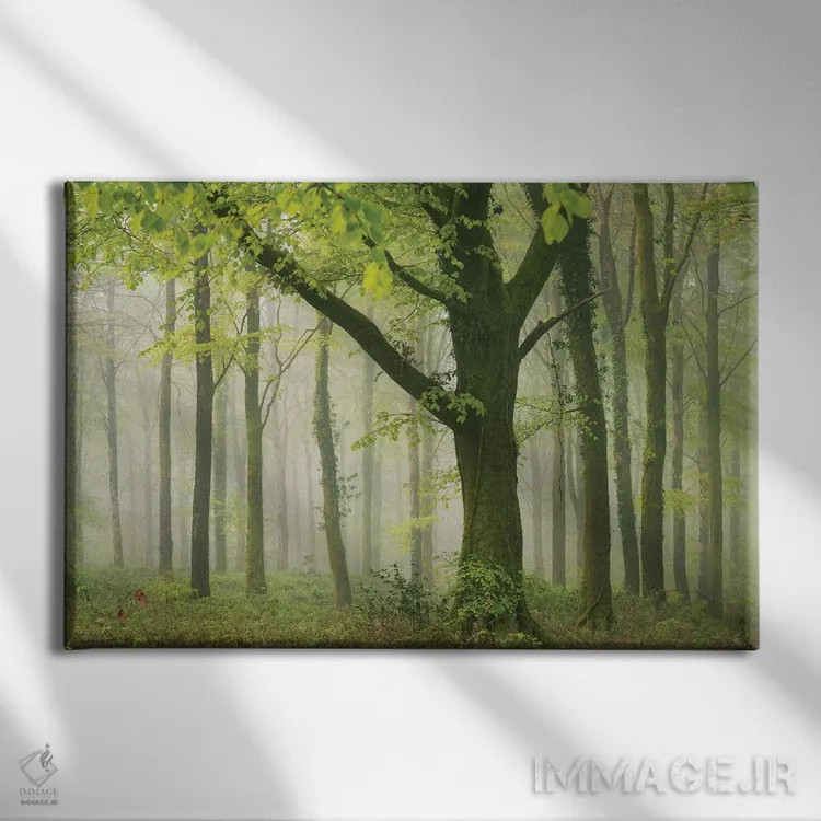 تابلو جنگل بهاری ۲ اثر آدام برتون - نمای روبهرو روی دیوار