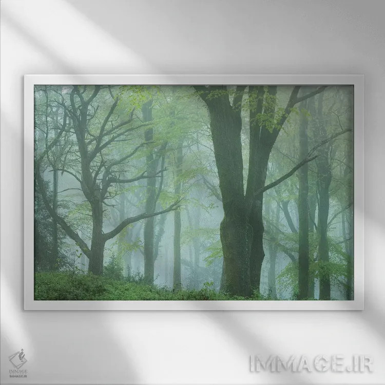 تابلو جنگل افسونشده ۲ اثر آدام برتون - نمای قابدار سفید