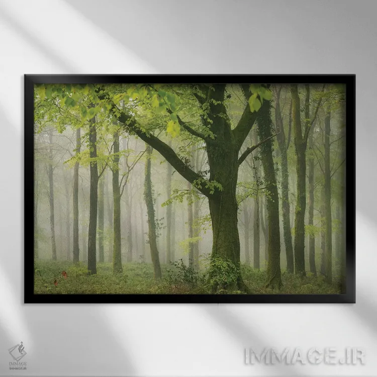 تابلو جنگل بهاری ۲ اثر آدام برتون - نمای قابدار مشکی