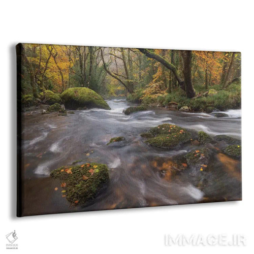 تابلو جویبار جنگلی اثر آدام برتون - نمای پرسپکتیو محصول