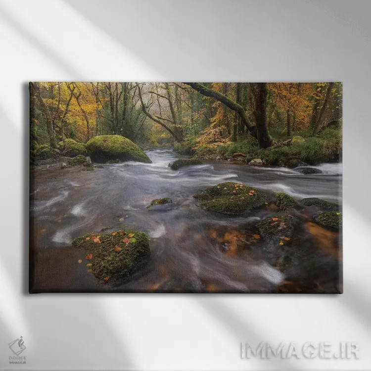 تابلو جویبار جنگلی اثر آدام برتون - نمای روبهرو روی دیوار