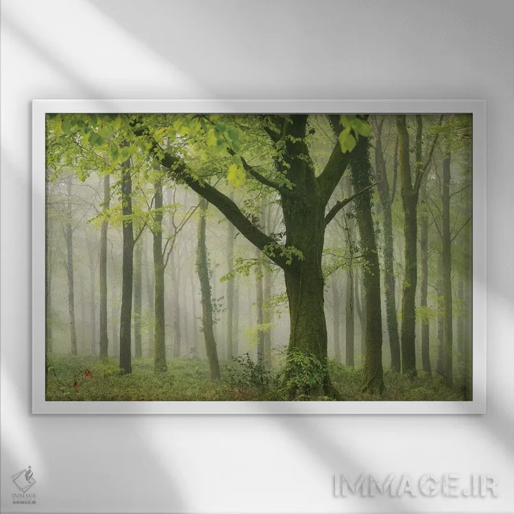 تابلو جنگل بهاری ۲ اثر آدام برتون - نمای قابدار سفید