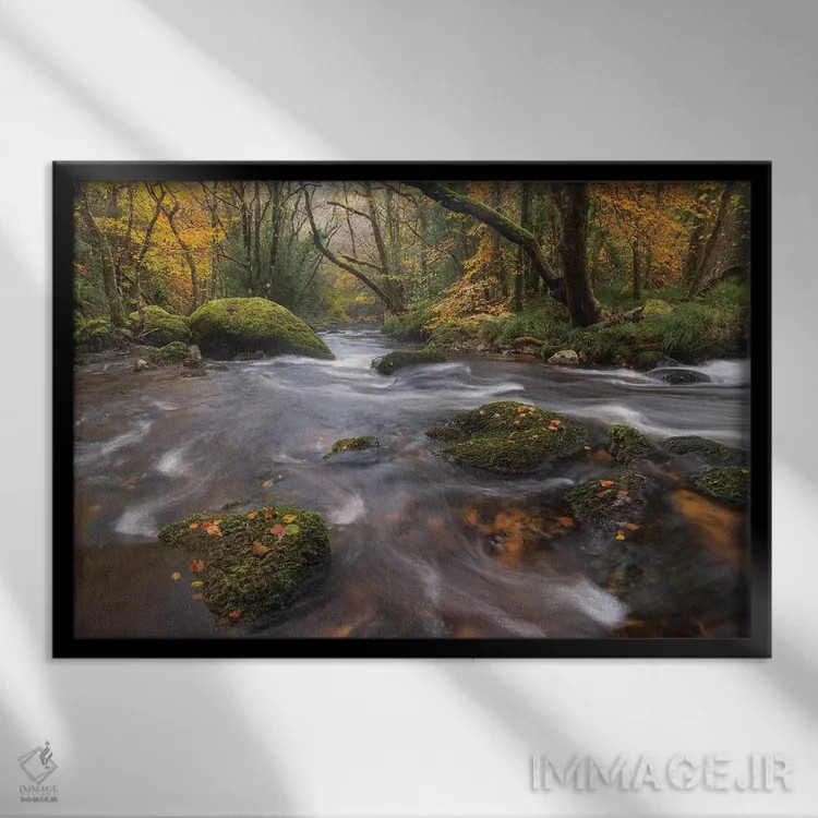 تابلو جویبار جنگلی اثر آدام برتون - نمای قابدار مشکی