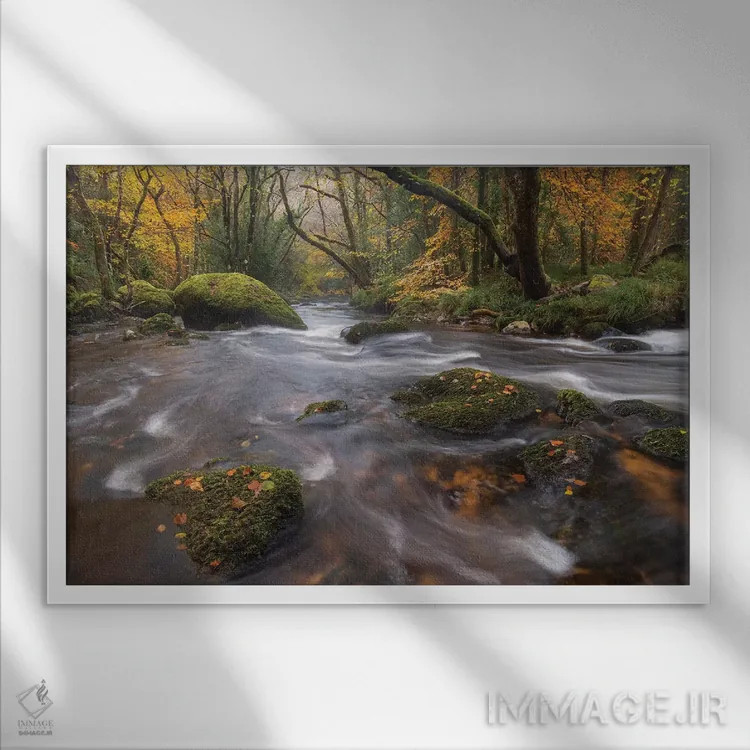 تابلو جویبار جنگلی اثر آدام برتون - نمای قابدار سفید