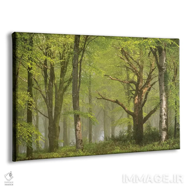 تابلو جنگل زیبا اثر آدام برتون - نمای پرسپکتیو محصول