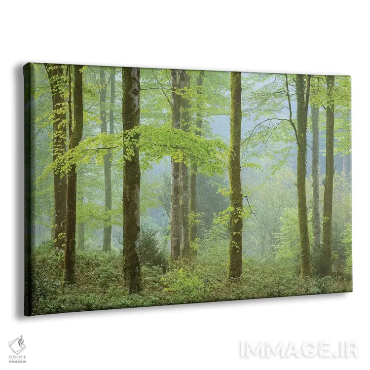 تابلو جنگل در بهار اثر آدام برتون - نمای پرسپکتیو محصول