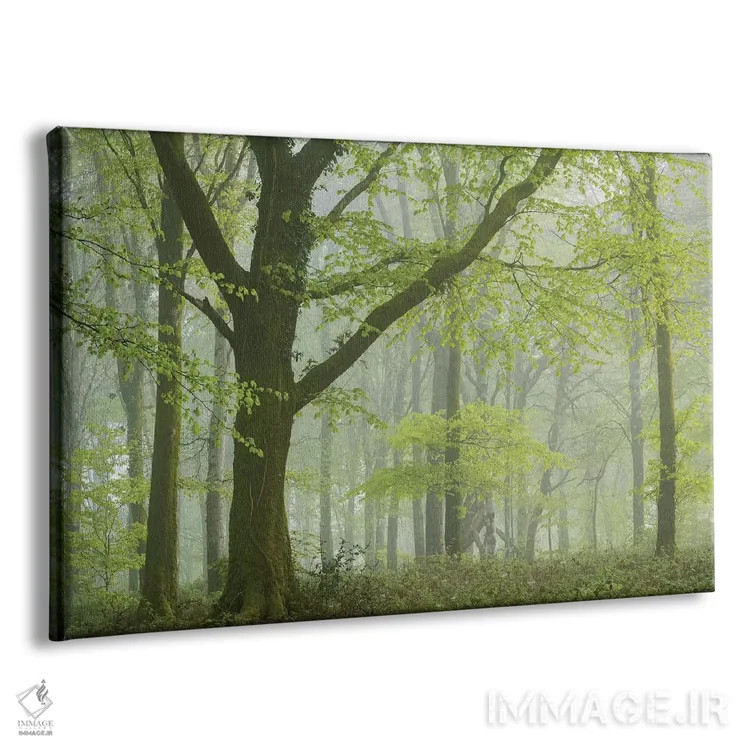 تابلو جنگل بهاری ۳ اثر آدام برتون - نمای پرسپکتیو محصول