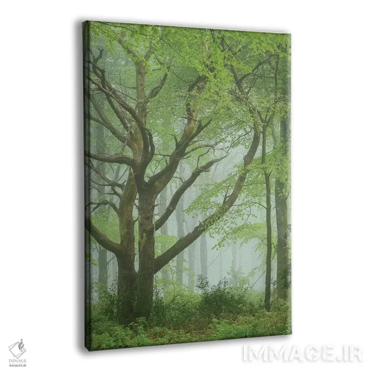 تابلو درختان رقصان اثر آدام برتون - نمای پرسپکتیو محصول