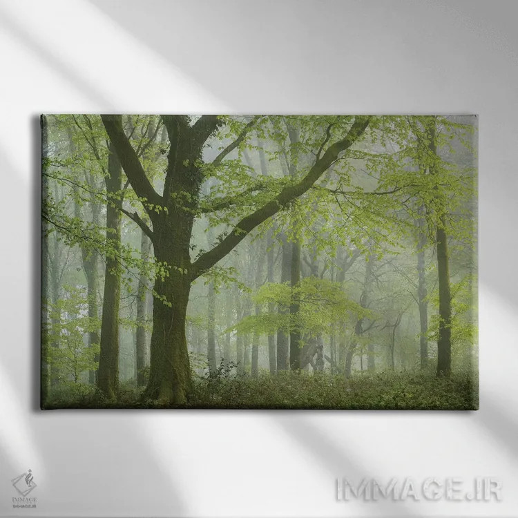 تابلو جنگل بهاری ۳ اثر آدام برتون - نمای روبهرو روی دیوار