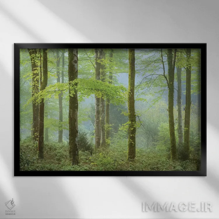 تابلو جنگل در بهار اثر آدام برتون - نمای قابدار مشکی