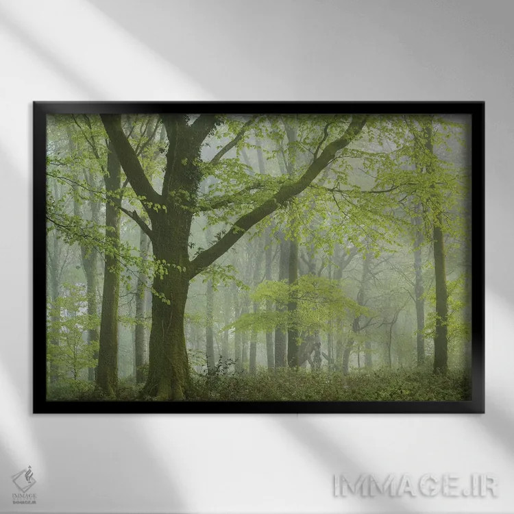 تابلو جنگل بهاری ۳ اثر آدام برتون - نمای قابدار مشکی