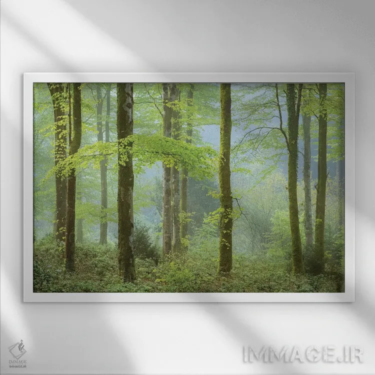 تابلو جنگل در بهار اثر آدام برتون - نمای قابدار سفید