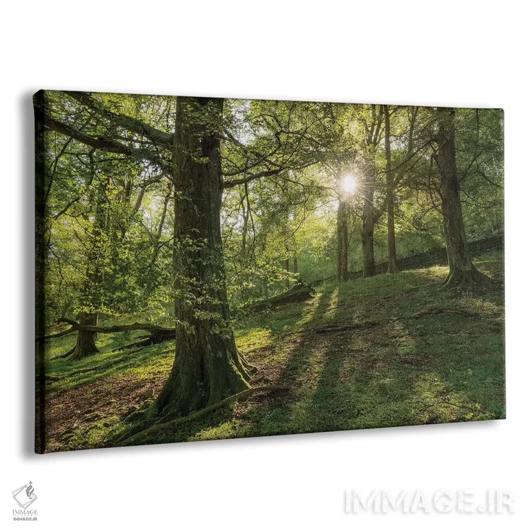 تابلو جنگل تابستانی اثر آدام برتون - نمای پرسپکتیو محصول