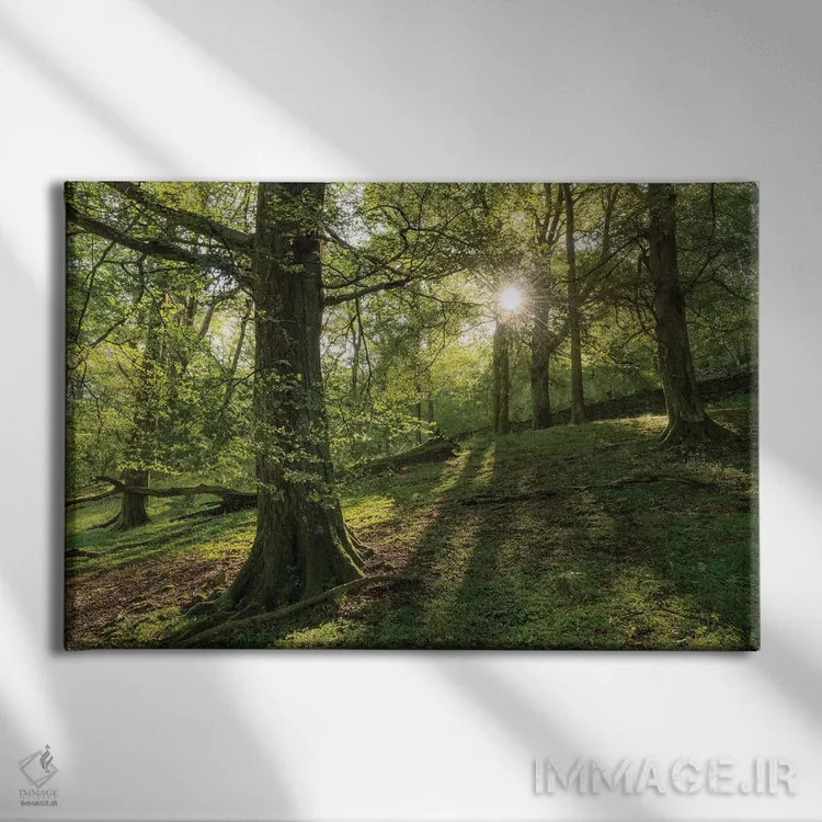 تابلو جنگل تابستانی اثر آدام برتون - نمای روبهرو روی دیوار