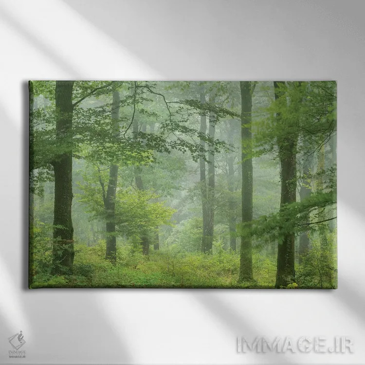 تابلو جنگل تابستانی مهآلود اثر آدام برتون - نمای روبهرو روی دیوار