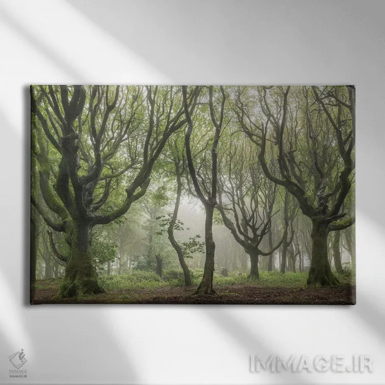 تابلو قلمروهای جنگلی ۲ اثر آدام برتون - نمای روبهرو روی دیوار