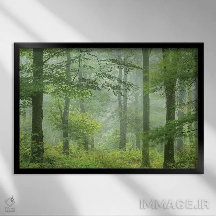 تابلو جنگل تابستانی مهآلود اثر آدام برتون - نمای قابدار مشکی