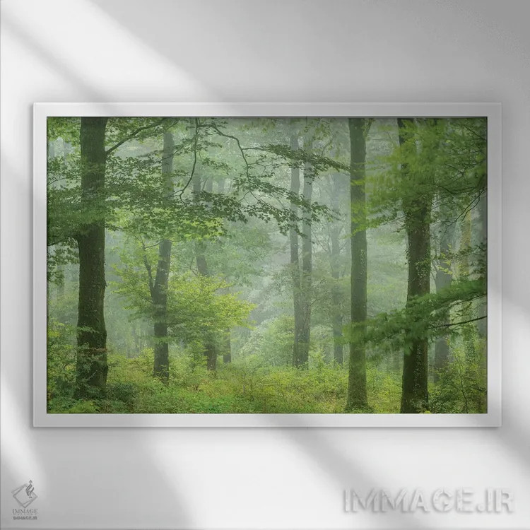 تابلو جنگل تابستانی مهآلود اثر آدام برتون - نمای قابدار سفید